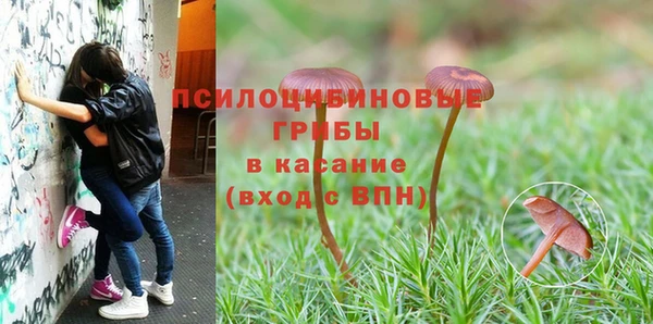 MESCALINE Орск