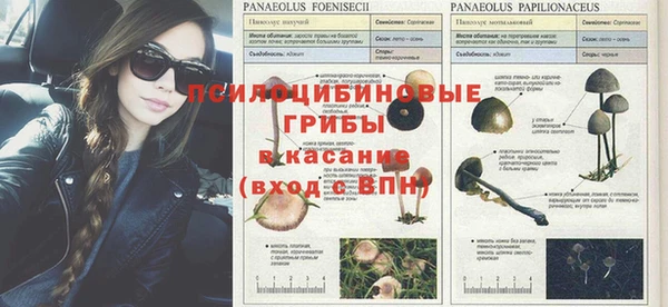 a pvp Михайловск