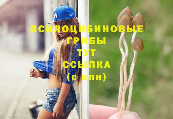 a pvp Михайловск