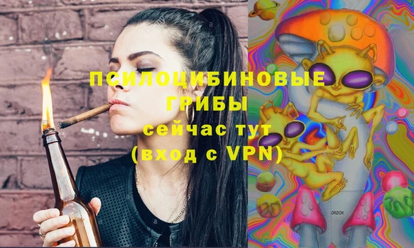 a pvp Михайловск