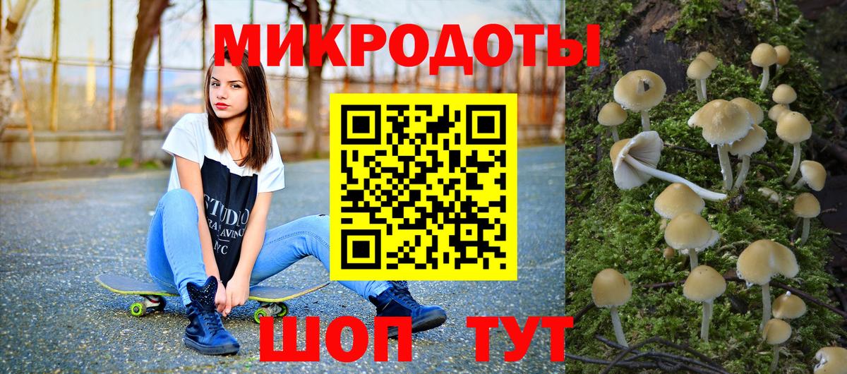 Галлюциногенные грибы Psilocybe  Вход с VPN  Дальнереченск 